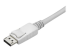StarTech.com Câble adaptateur USB-C vers DisplayPort 4K 60 Hz de 3 m - Gros plan
