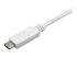StarTech.com Câble adaptateur USB-C vers DisplayPort 4K 60 Hz de 3 m - Gros plan