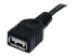 StarTech.com Câble d'extension USB 2.0 A vers A de 1,8 m - Gros plan