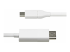 StarTech.com 6.6ft (2m) USB C to DisplayPort 1.2 Cable, Bidirectional - Front