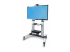 StarTech.com Rolling TV Cart/Stand On Wheels, Up to 100inch/220lb Screens chariot - Angle droit