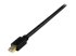 StarTech.com Câble Adaptateur Mini DisplayPort vers DVI-D Actif 1,8 m - Gros plan
