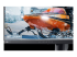 Alienware 500Hz Gaming Monitor AW2524HF - Gros plan