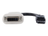 StarTech.com Adaptateur vidéo DisplayPort vers DVI - Front