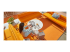 Logitech MX Anywhere 3 pour Mac - Retour
