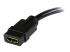 StarTech.com Câble adaptateur vidéo HDMI vers DVI-D de 20 cm - Gros plan