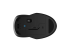 HP 250 - souris - 2.4 GHz, Bluetooth 5.0 - Retour
